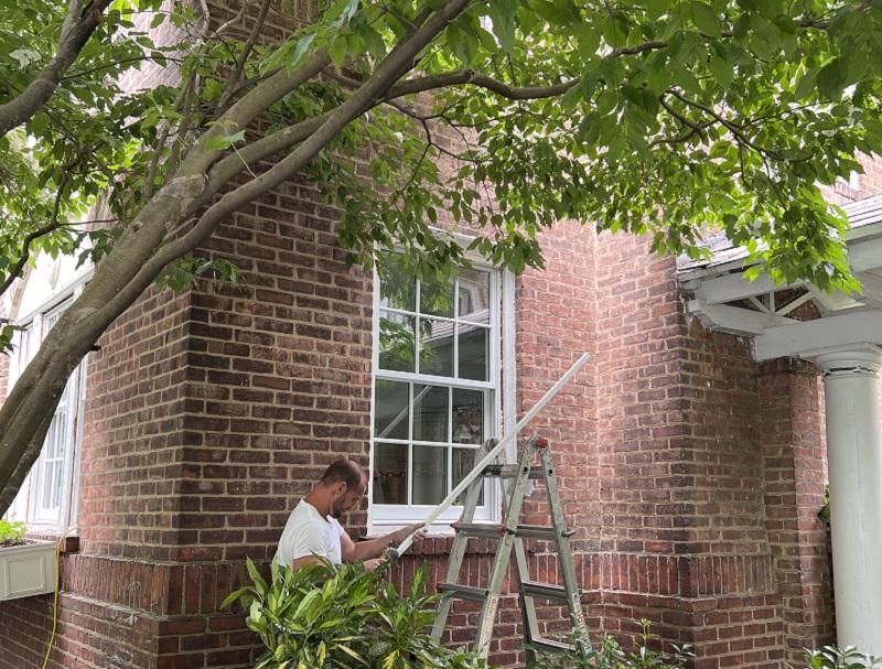 Pella window replacement
